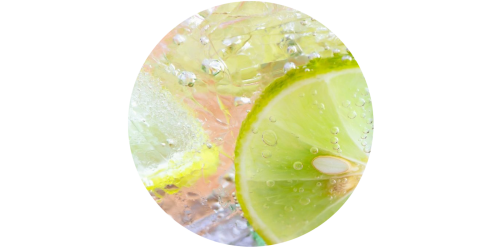 Lemon Lime Soda (WFSC)